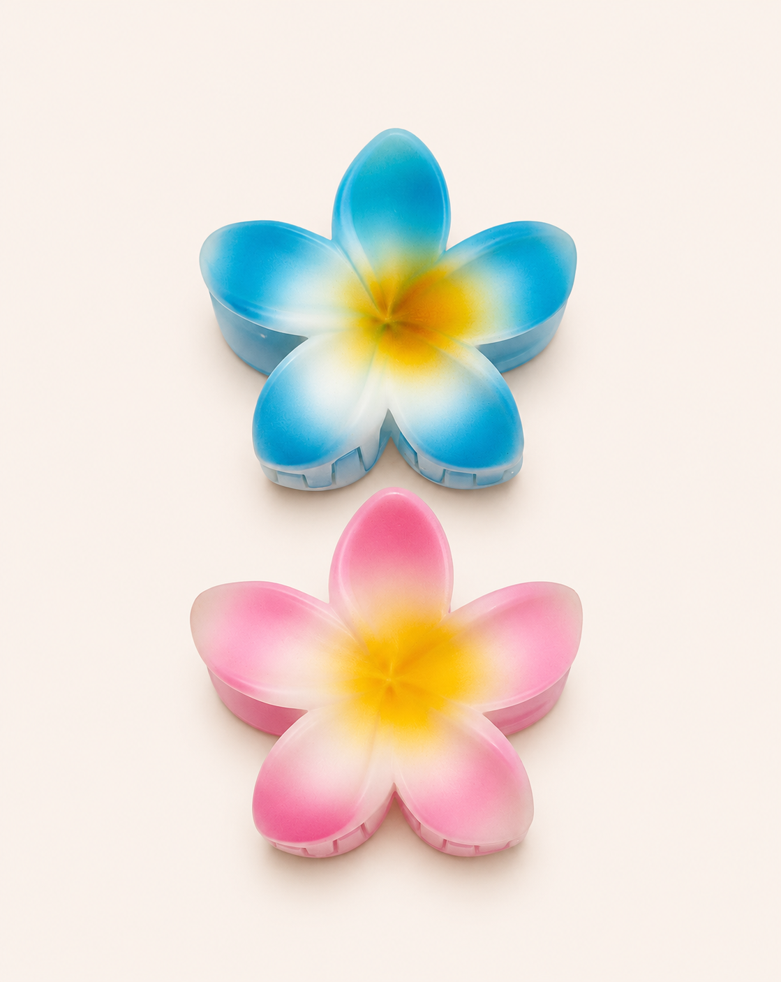 Hair Claw Clip 2pcs (Medium)