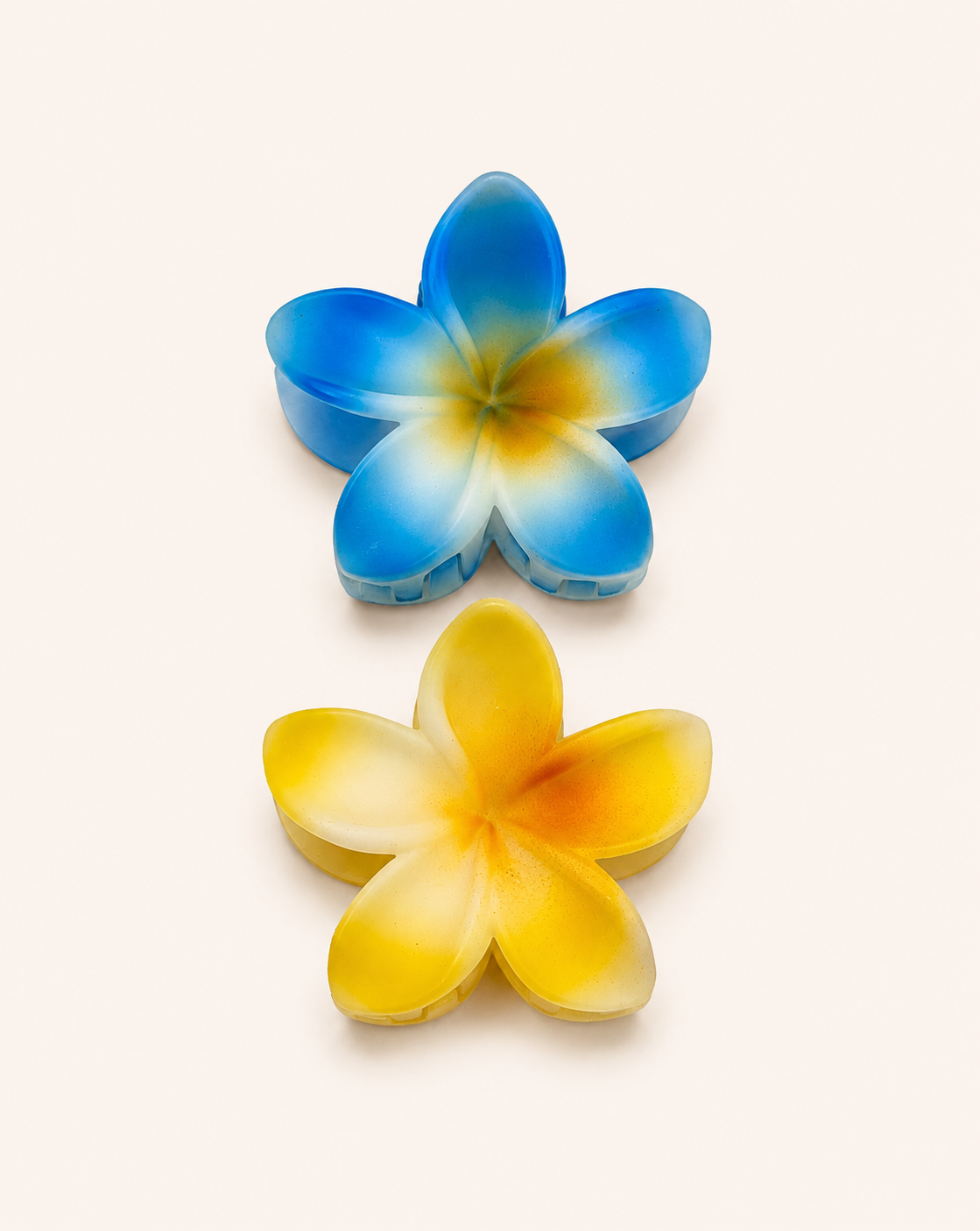 Hair Claw Clip 2pcs (Medium)