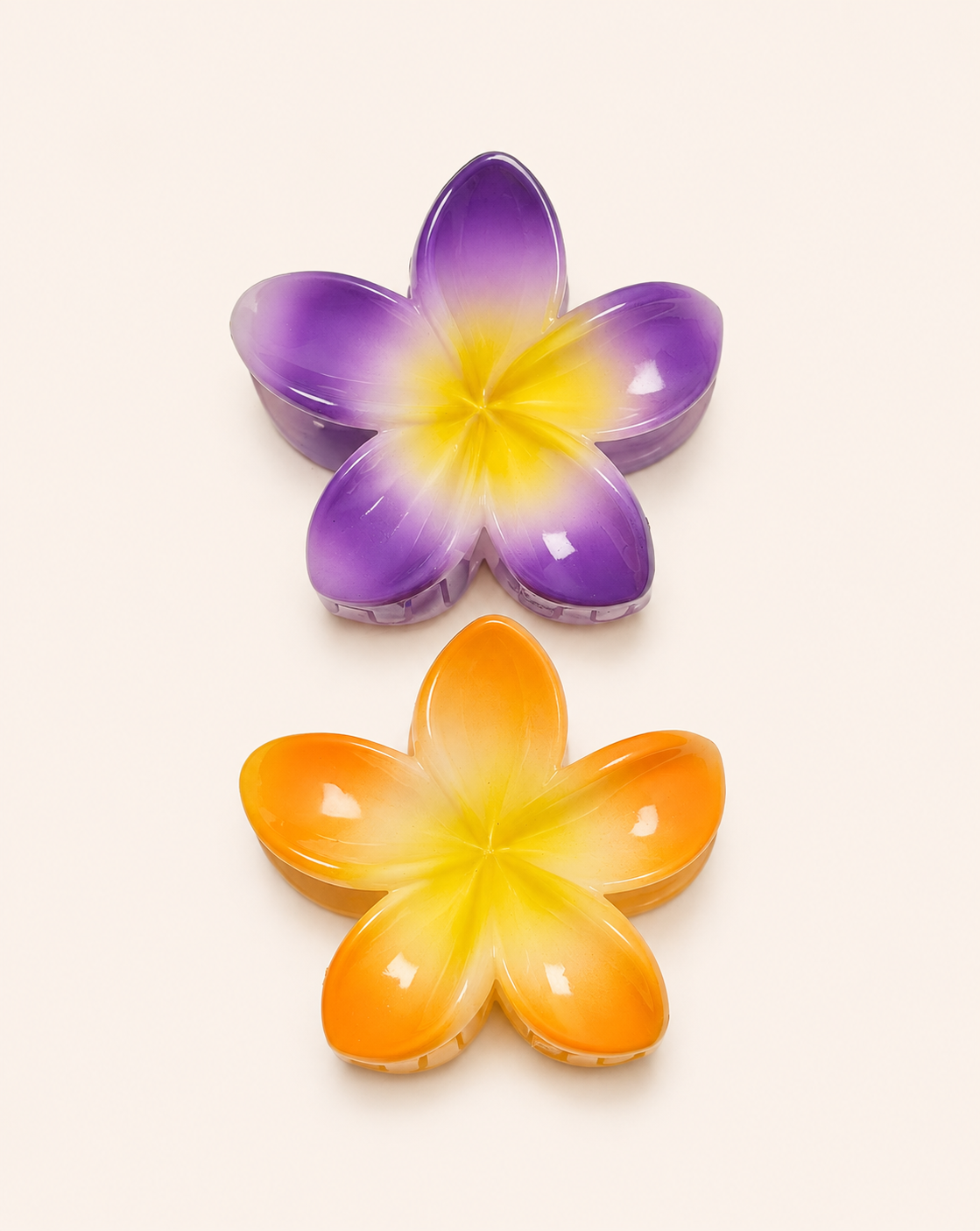 Hair Claw Clip 2pcs (Medium)
